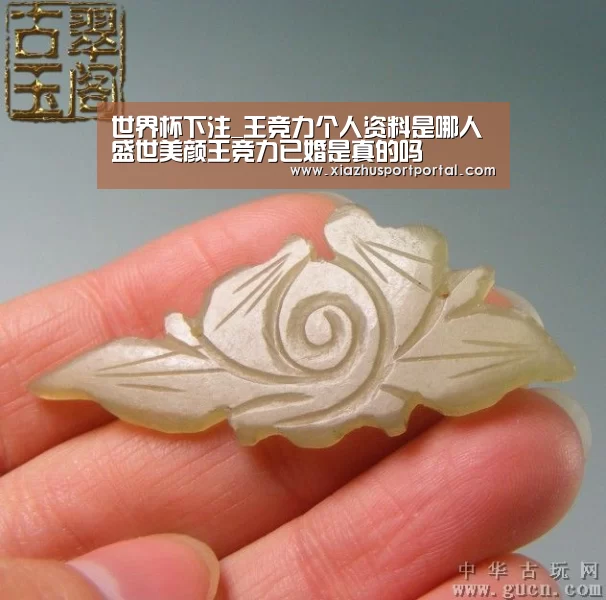 世界杯下注官网