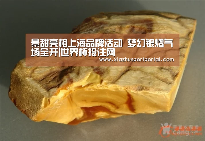 世界杯投注网