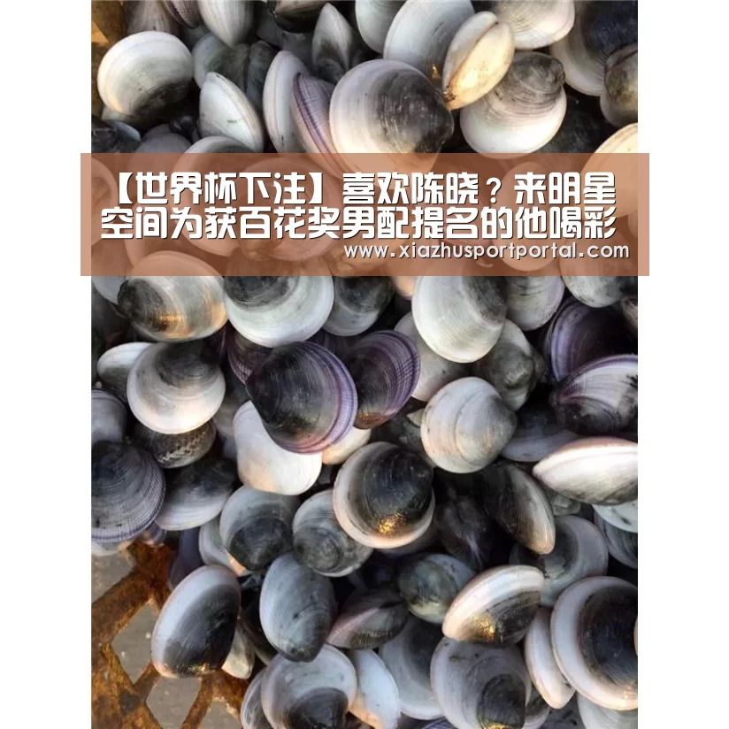 【世界杯下注】喜欢陈晓？来明星空间为获百花奖男配提名的他喝彩吧